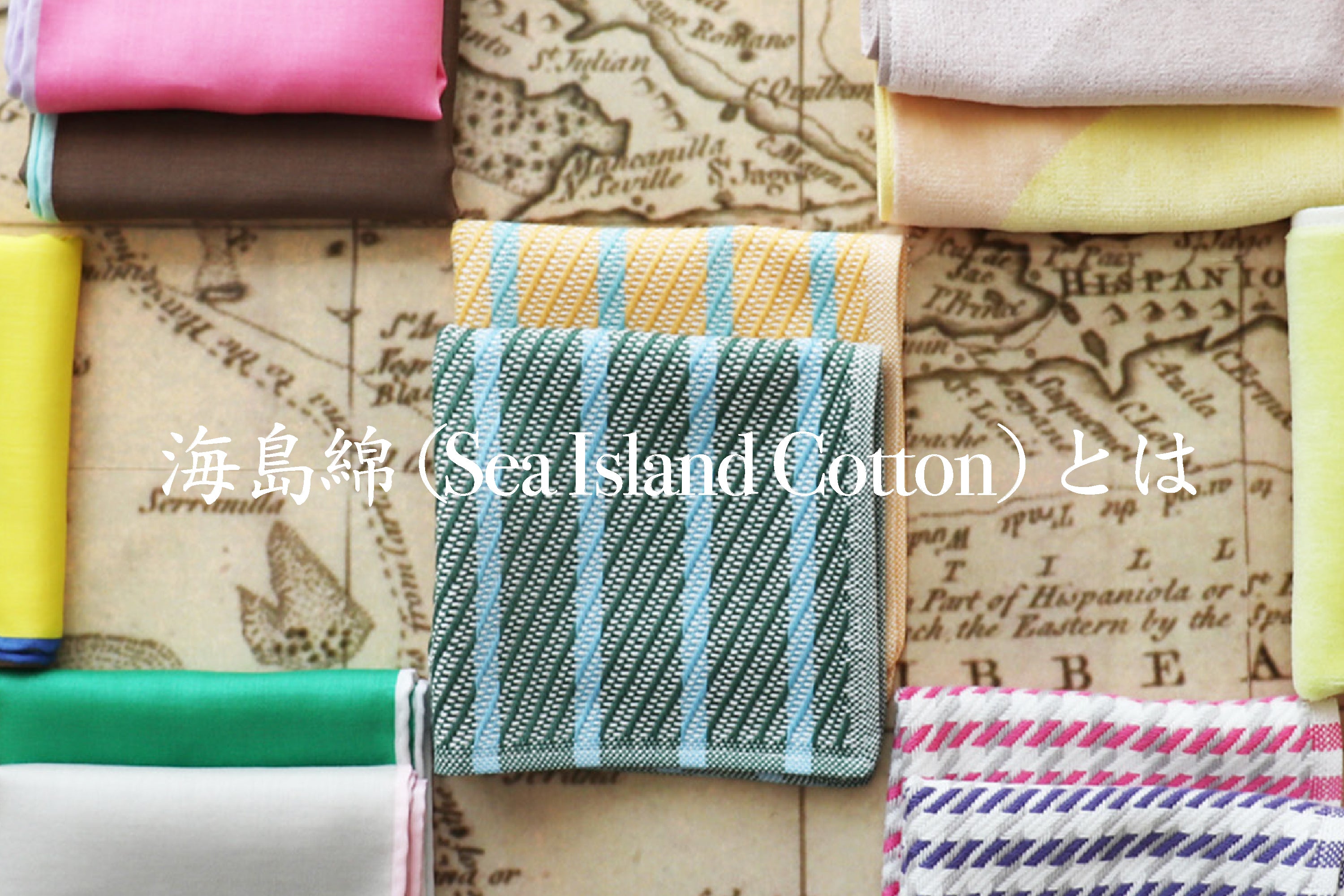 海島綿(Sea Island Cotton)とは