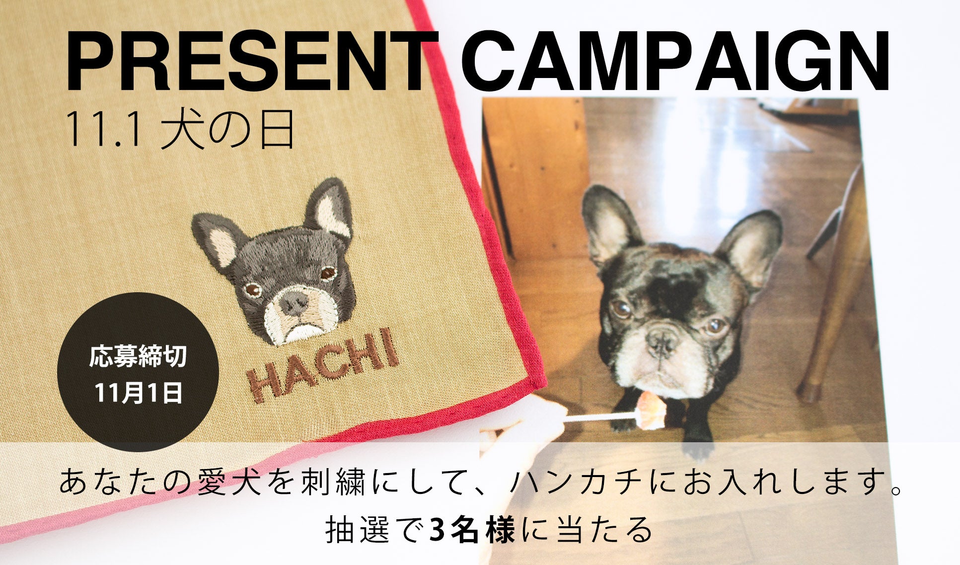 公式Instagram「犬の日」プレゼントキャンペーンを開催