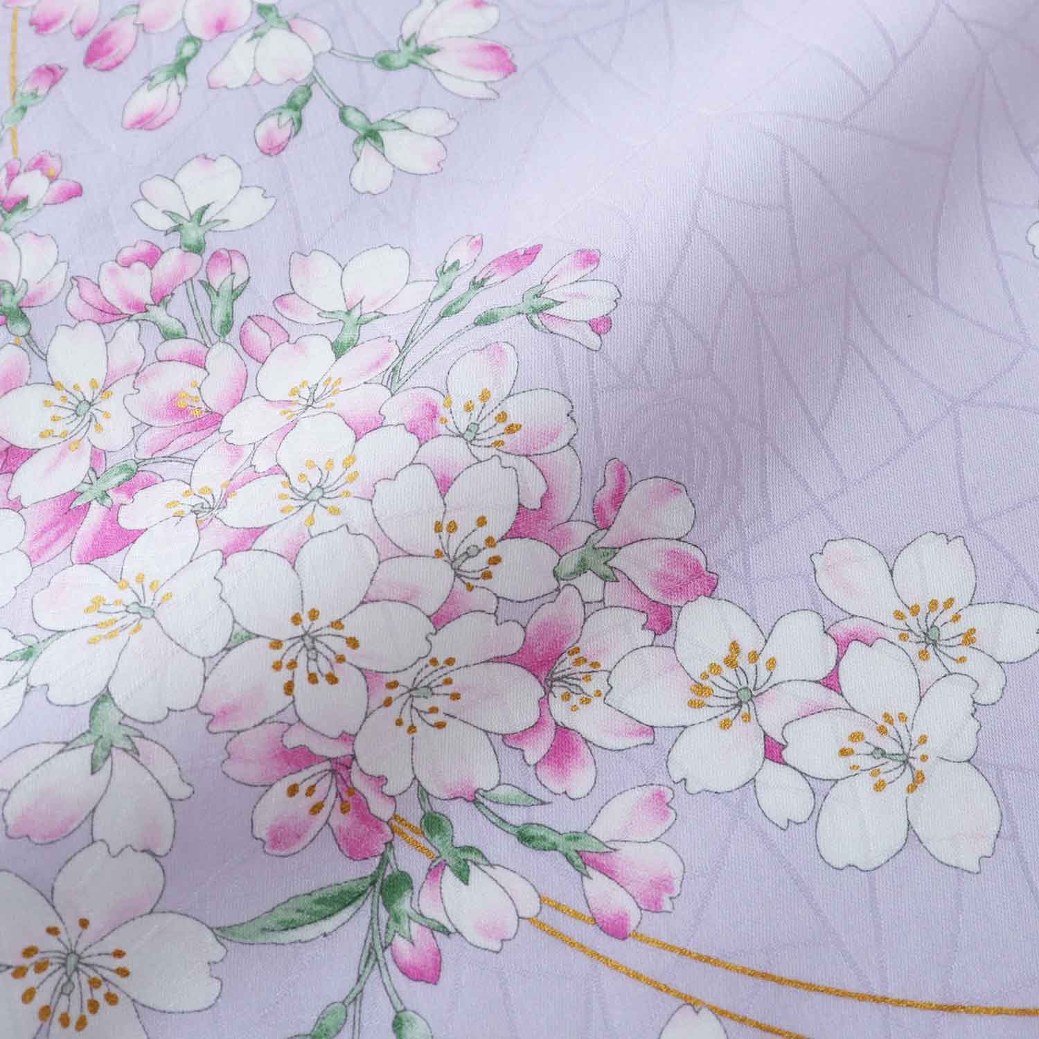 Japanese bird cherry (Prunus grayana)