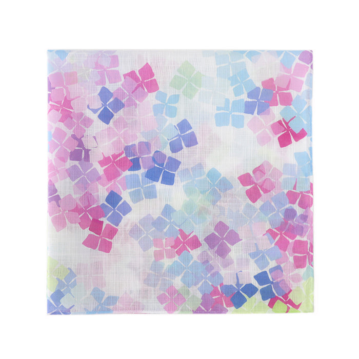 Hydrangea