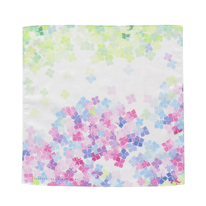 Hydrangea