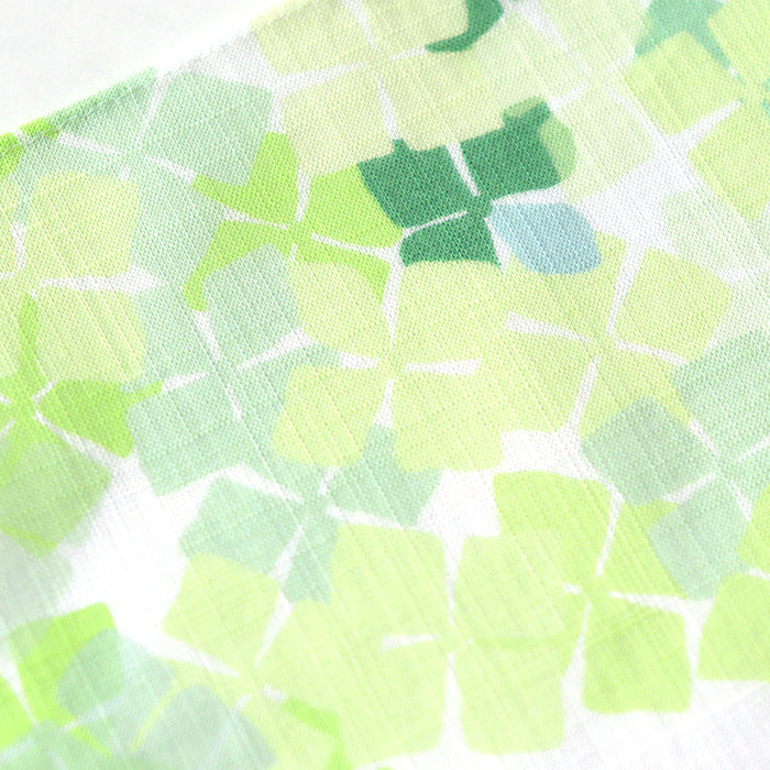 Hydrangea