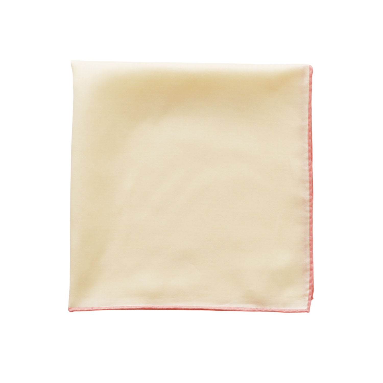 SIC 108カラー フルーツの色