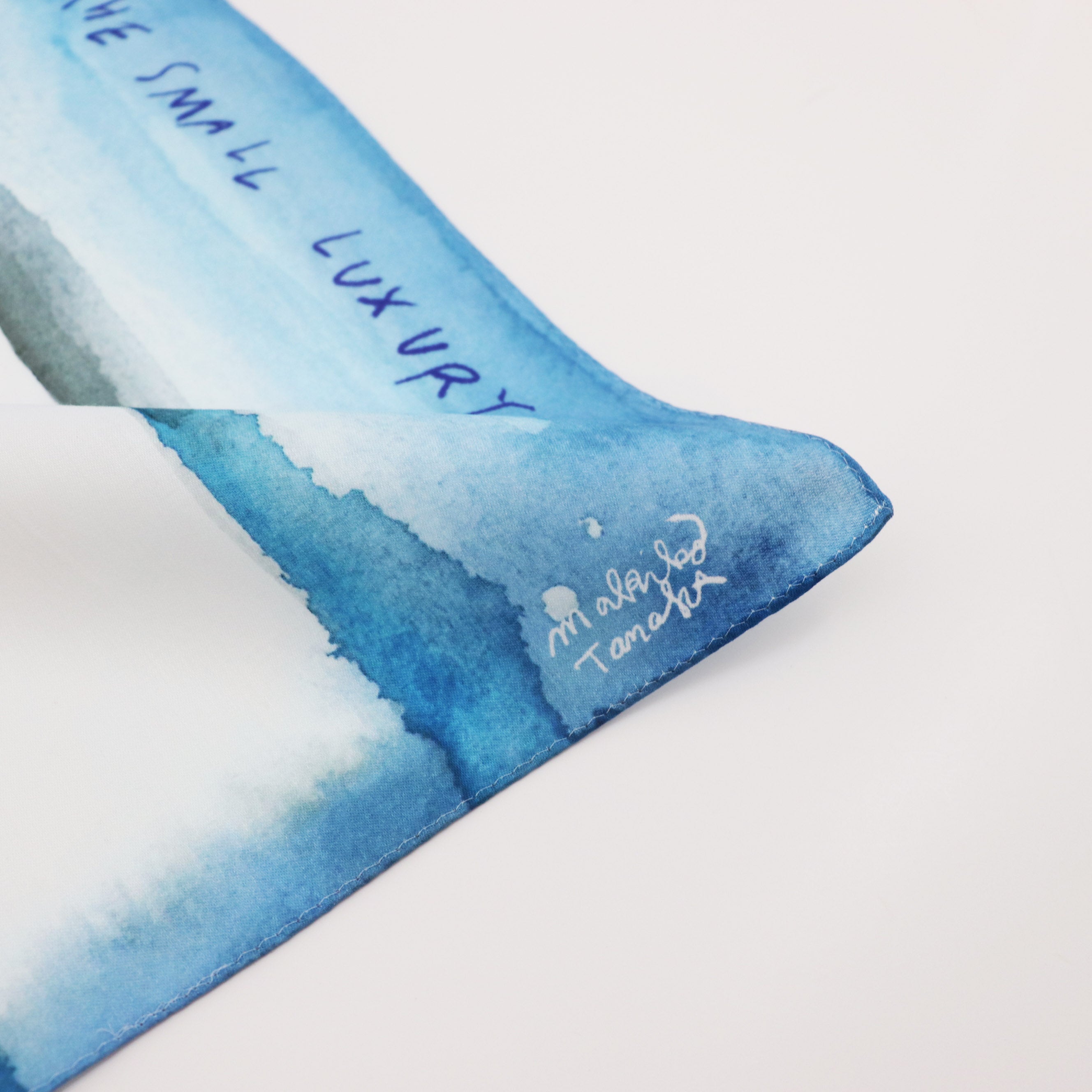 田中麻記子 Saké(サケ)