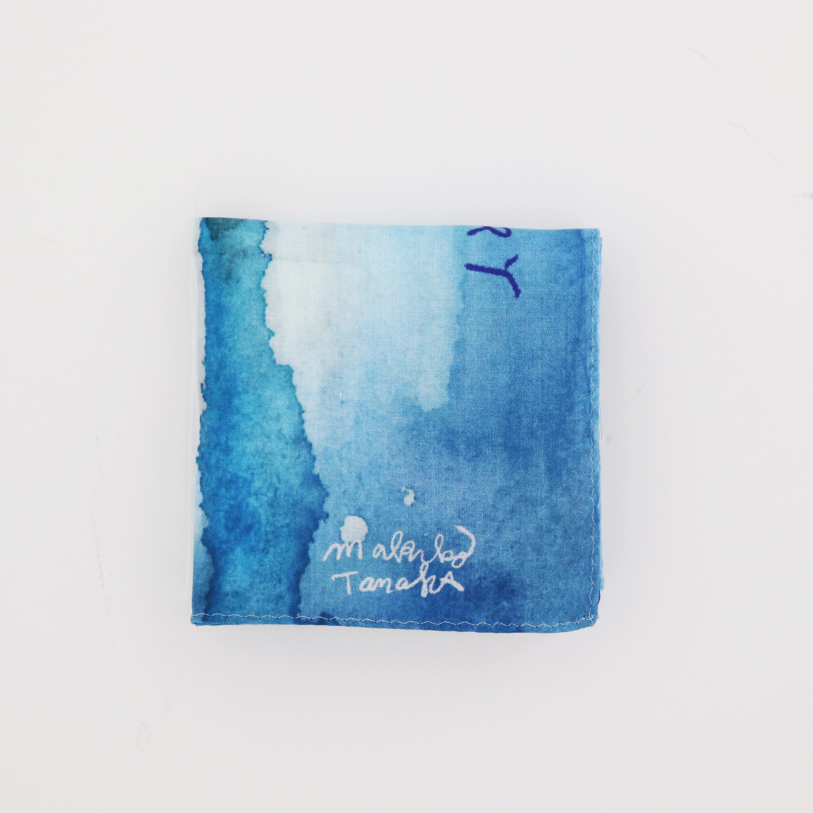 田中麻記子 Saké(サケ)