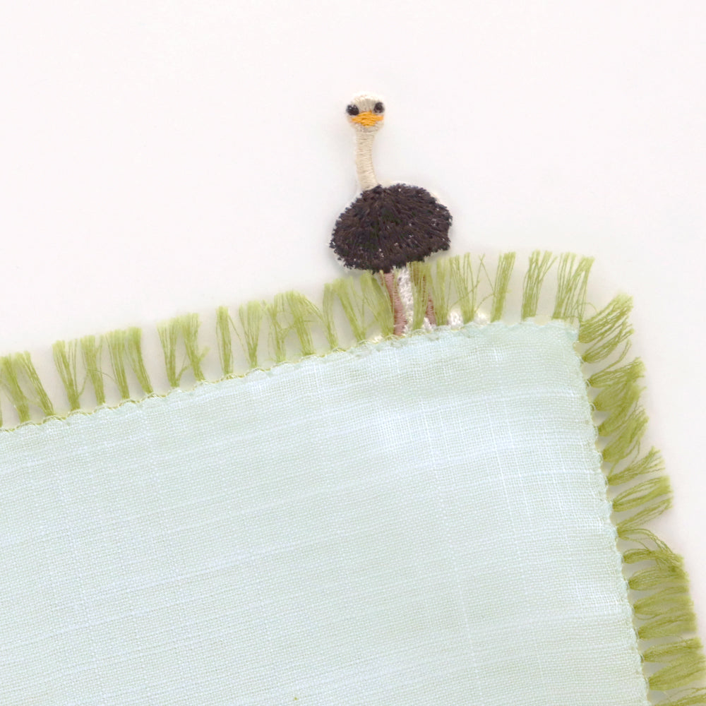 Grass ostrich [Hiccup series