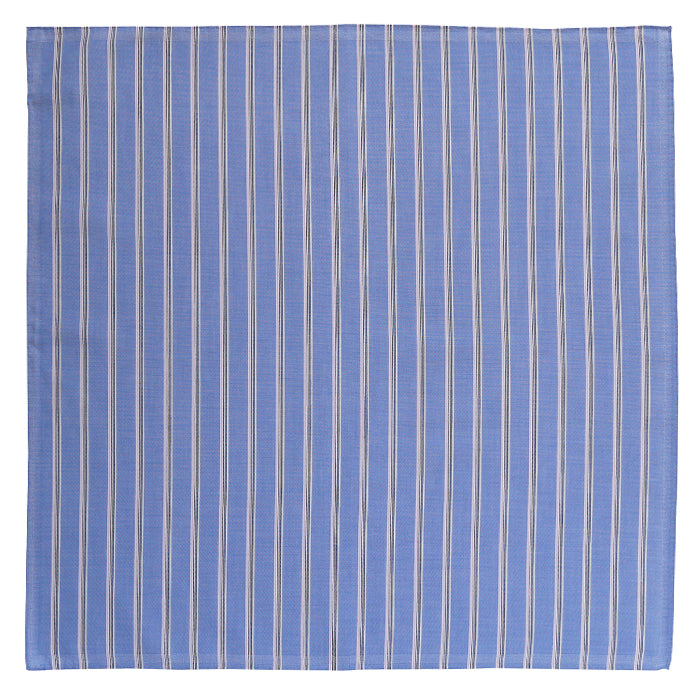blue shirts ストライプa