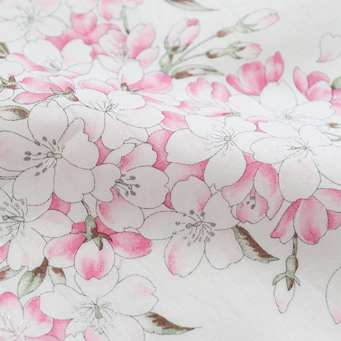 Japanese bird cherry (Prunus grayana)