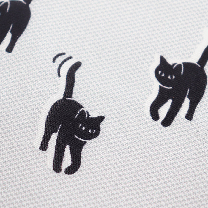frisky cat