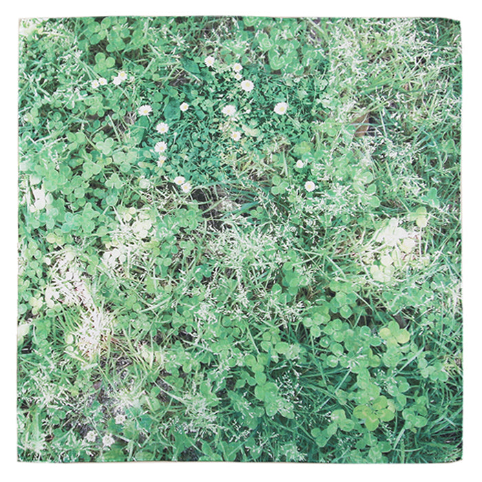 Where is the four-leaf clover?