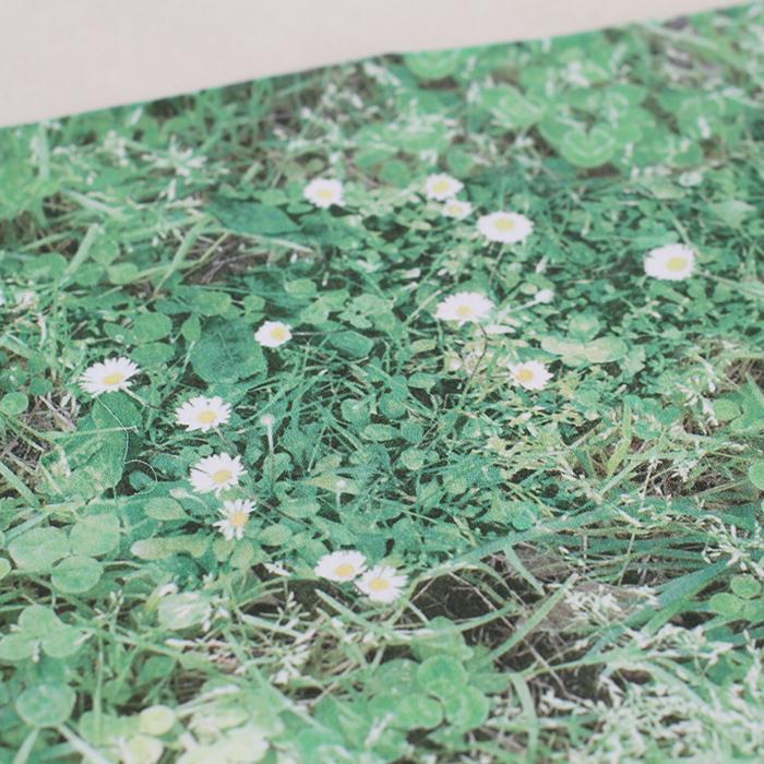 四つ葉のクローバーはどこ? - CLASSICS the Small Luxury