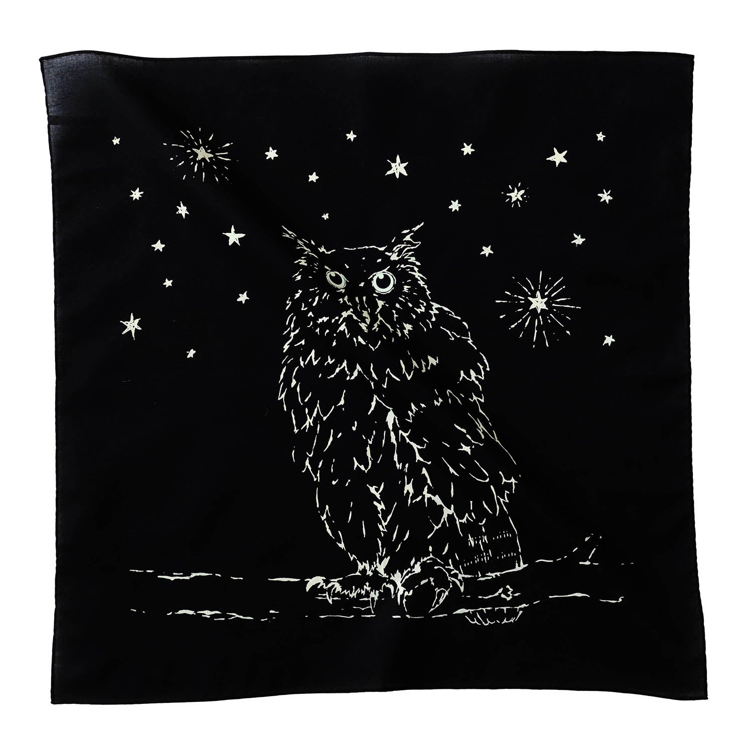 2026/08 sale Owl standing in the darkness