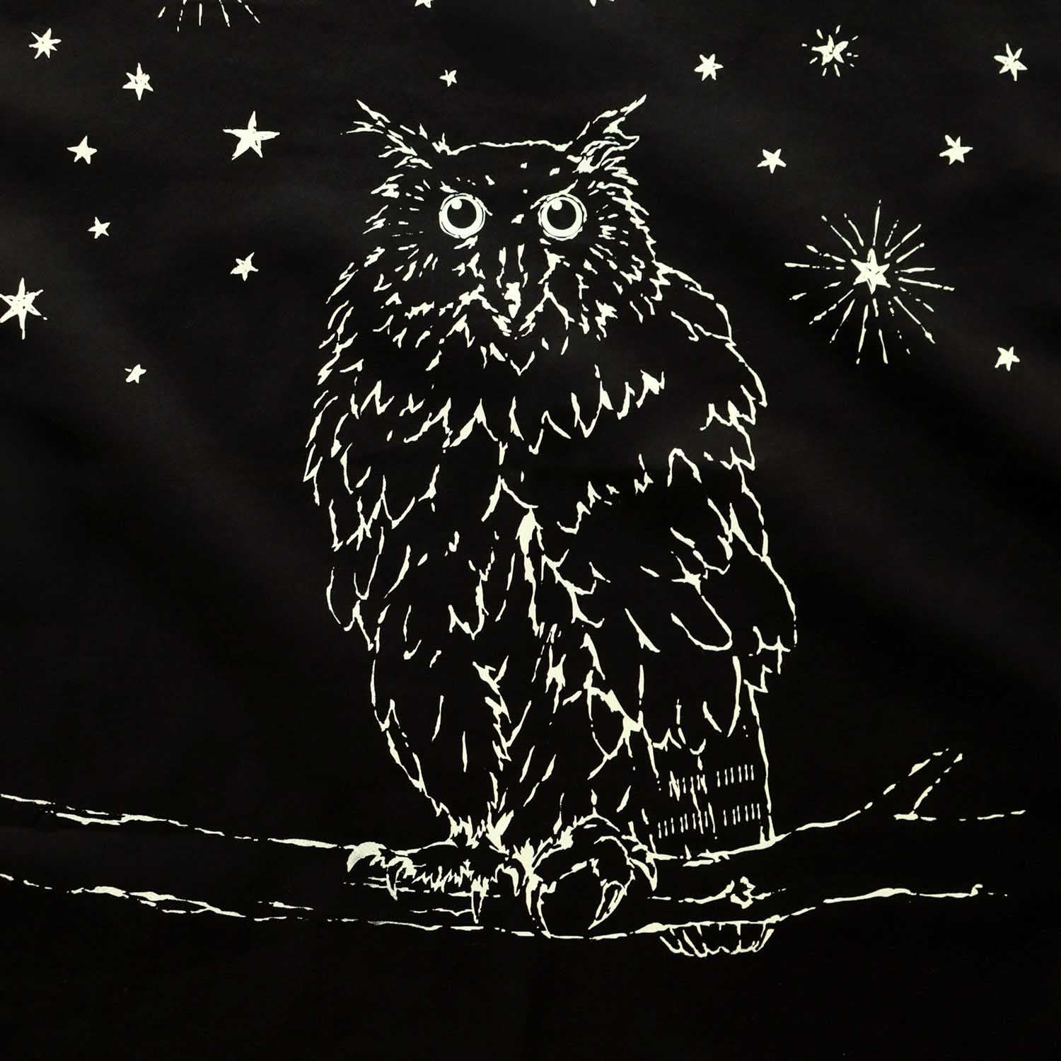 2026/08 sale Owl standing in the darkness