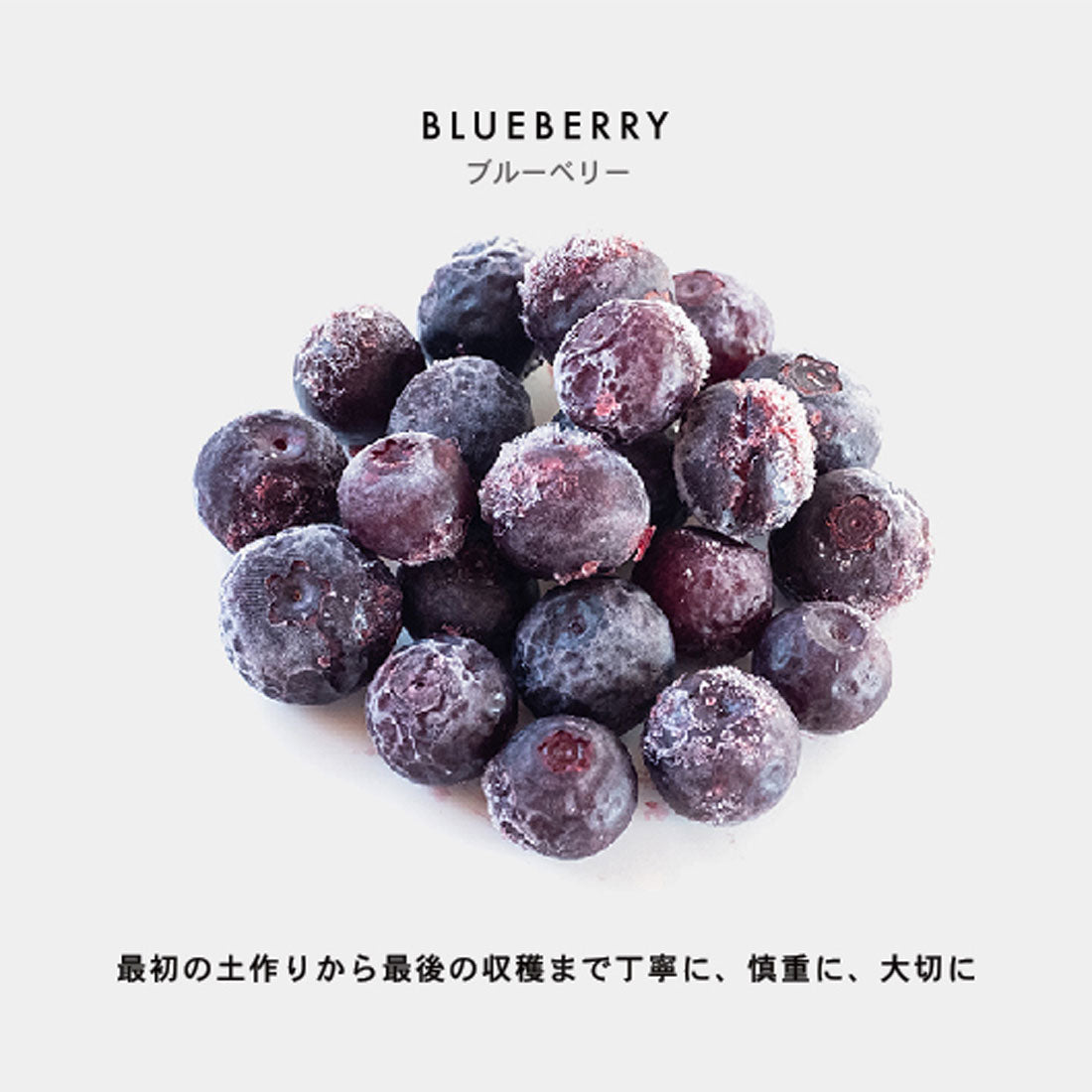 Food Textile Handkerchief Blueberry