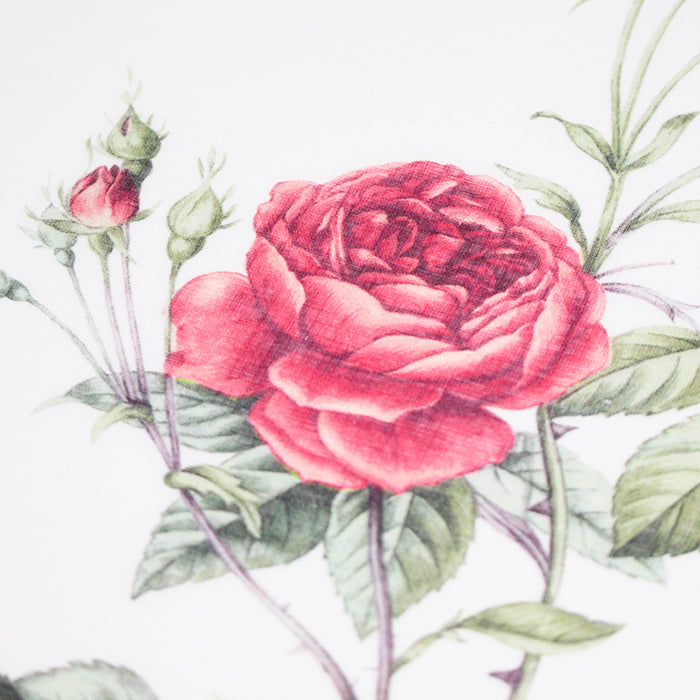 botanical rose
