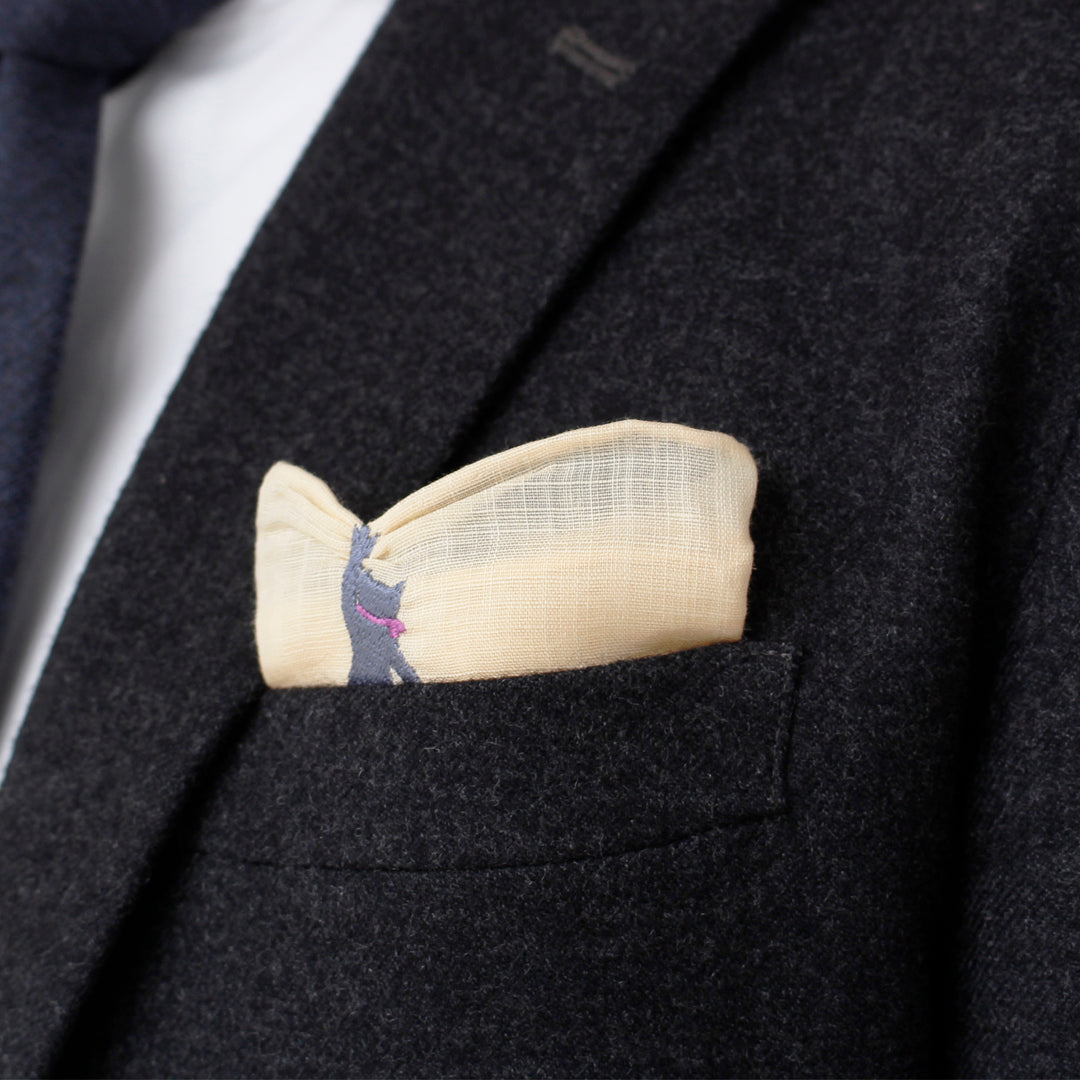 pocket square (decorative handkerchief holder)