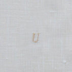 2021 Alphabet U