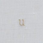 2021 Alphabet U