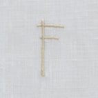 2021 Alphabet F